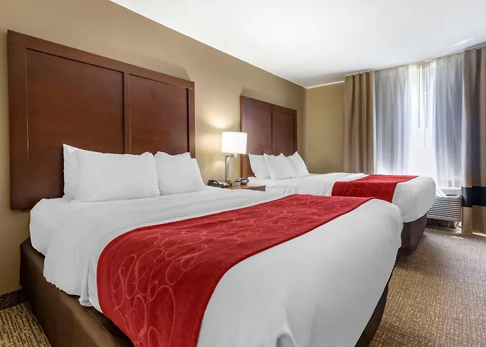 Comfort Suites Bridgeport - Clarksburg