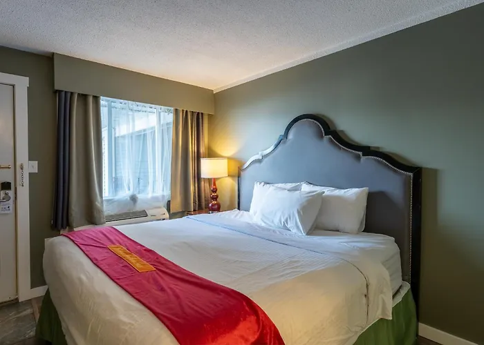 Ace Motel