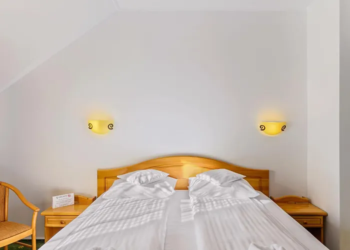 Hotel OHMA - Casa Viorel