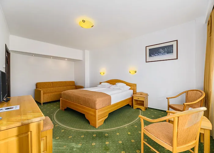 Hotel OHMA - Casa Viorel