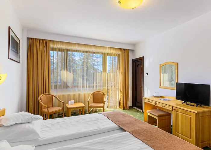 Hotel Casa Viorel Jacuzzi & Saunas