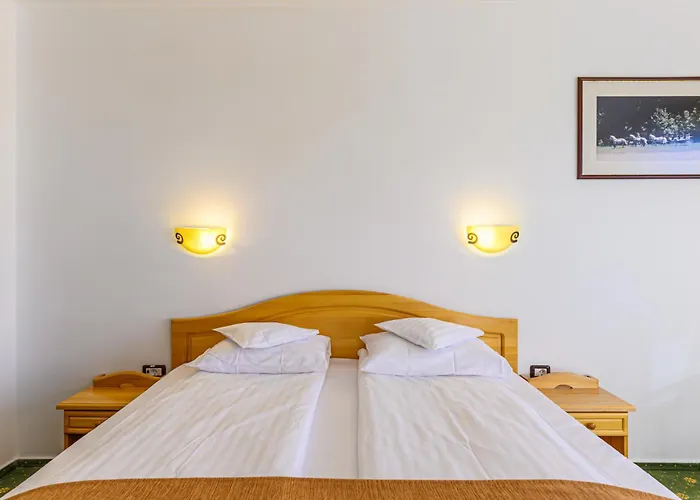Hotel Casa Viorel jacuzzi&saunas