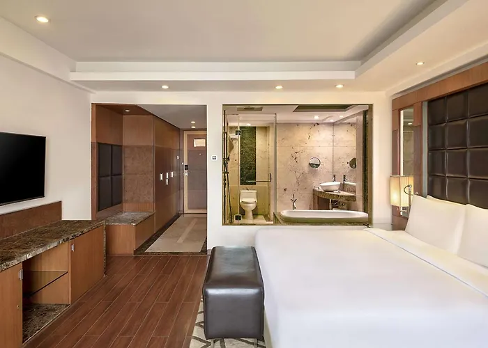 Radisson Blu Plaza Delhi Airport