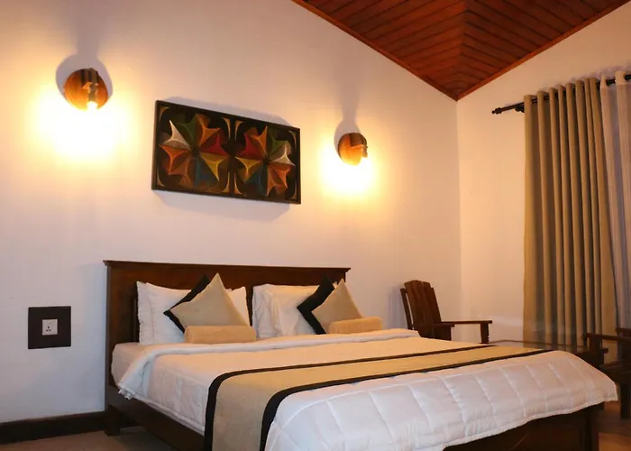 Xotic Resort