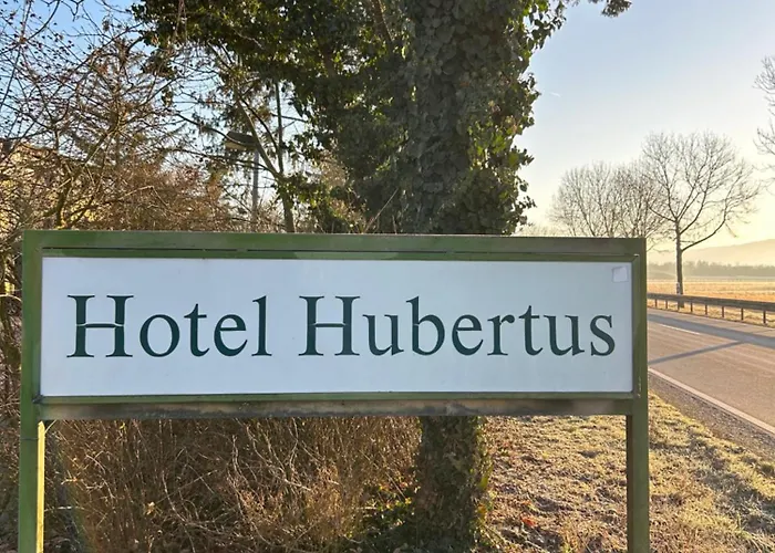 Hotel Hubertus Gernsheim Rhein