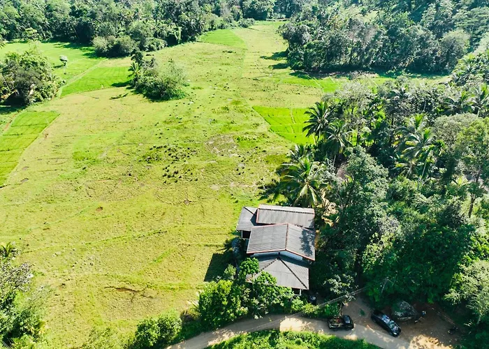 Wildlife Kingdom - Deniyaya Sinharaja