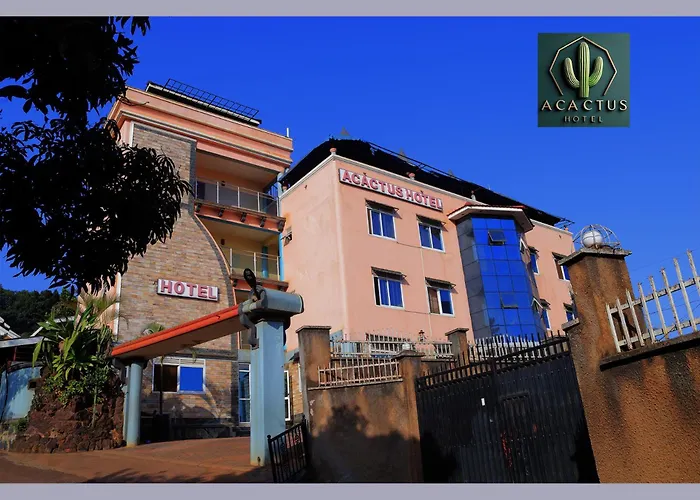 Acactus Hotel