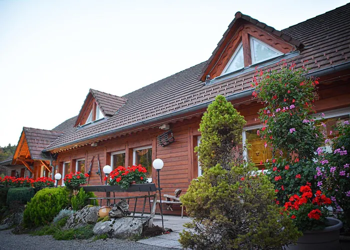 Logis Hôtel Restaurant La Petite Auberge Alsace