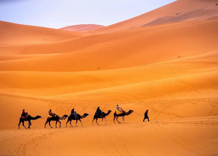Camp Sahara Ayour