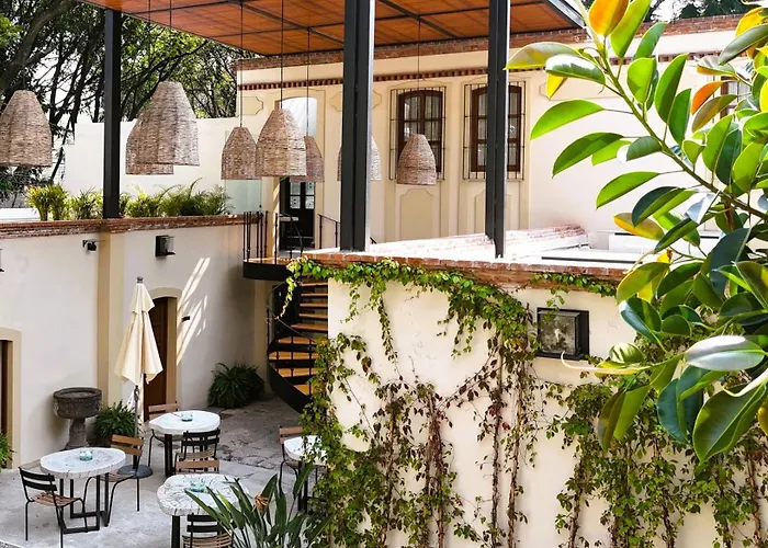 Orchid House Coyoacán