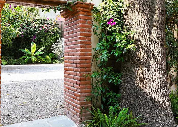 Orchid House Coyoacan