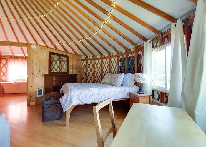Jumping Juniper Ranch Yurt
