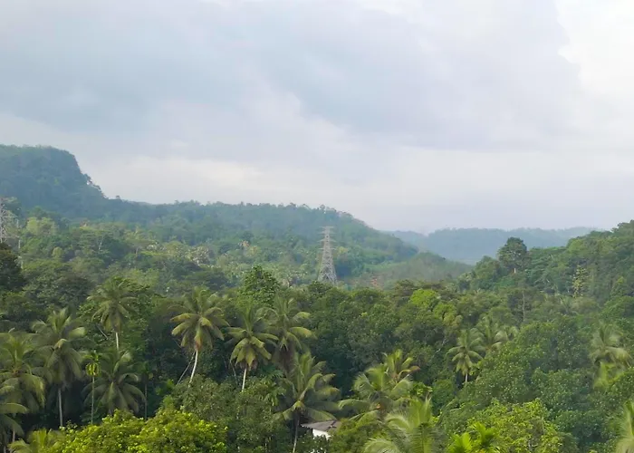 Dhighayu Ayurvedic Wellness Resort