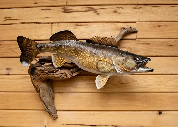 Walleye Inn