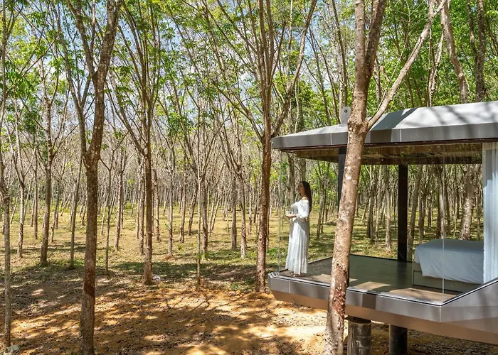 Timber Society Boutique Hideaway