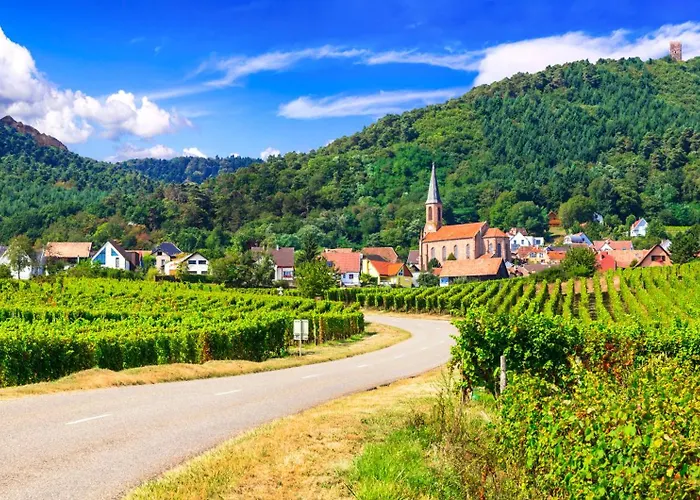 Hotel Colmar Vignes Eguisheim