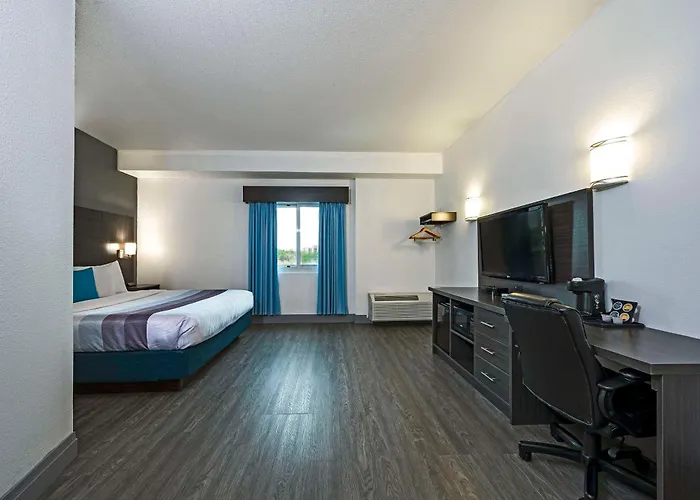 Comfort Hotel