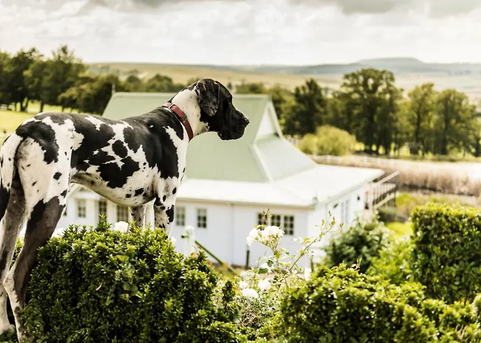 Oaklands Farm Stay