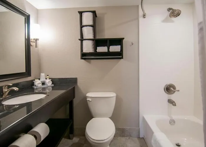 Queen Bed Hotel Suite 244