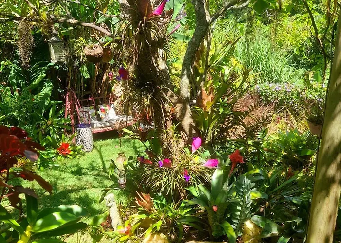 Casa de vidro