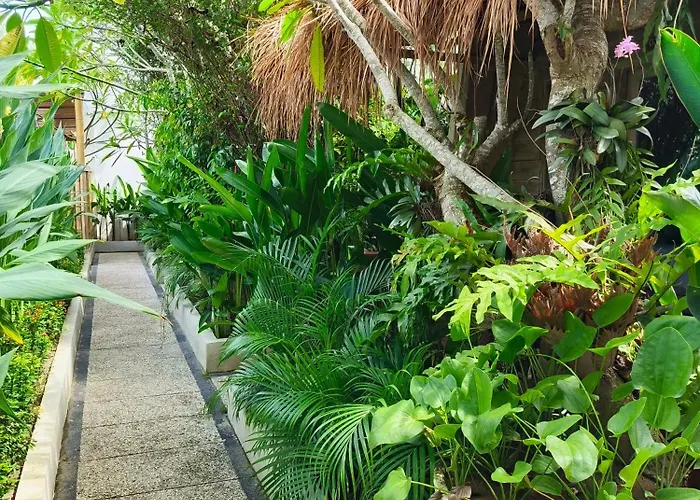 Lavella Villas Kuta Lombok