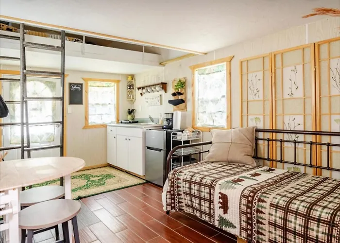 Tiny House Surrounded By Florida Farm Beauty