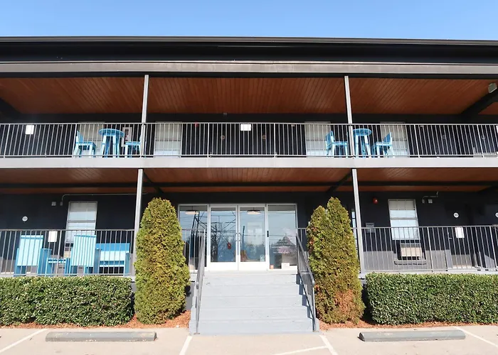 The Iris Motel