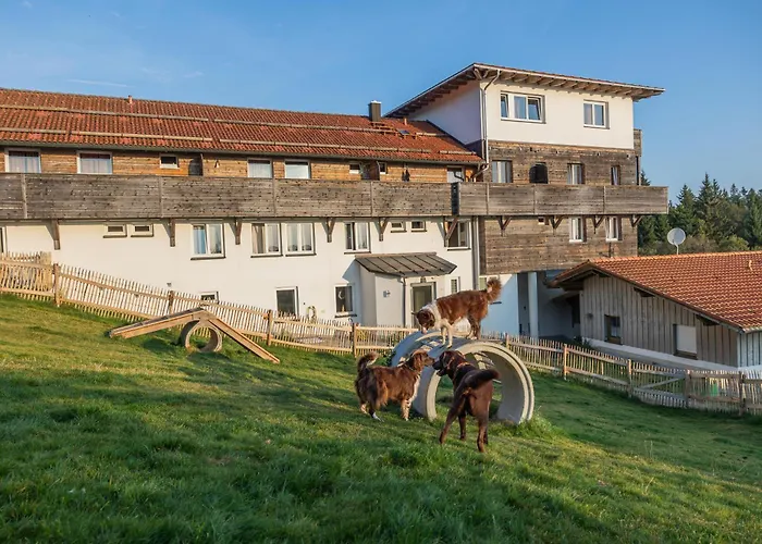 Hunderesort Waldeck - 4 Sterne Urlaub Mit Hund
