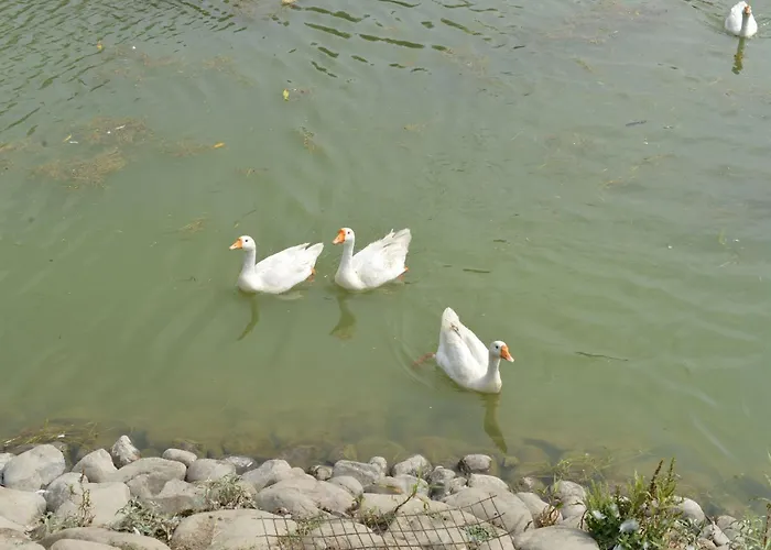 Karna Lake Tourist Resort