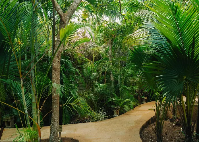 Aldea Coba An Escape Boutique Experience