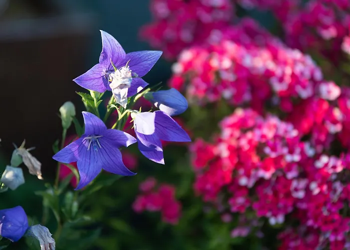 Glenn Meadow Bed And Breakfast