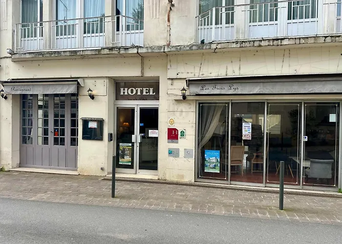 Chambre D'Hotel Les Trois Lys