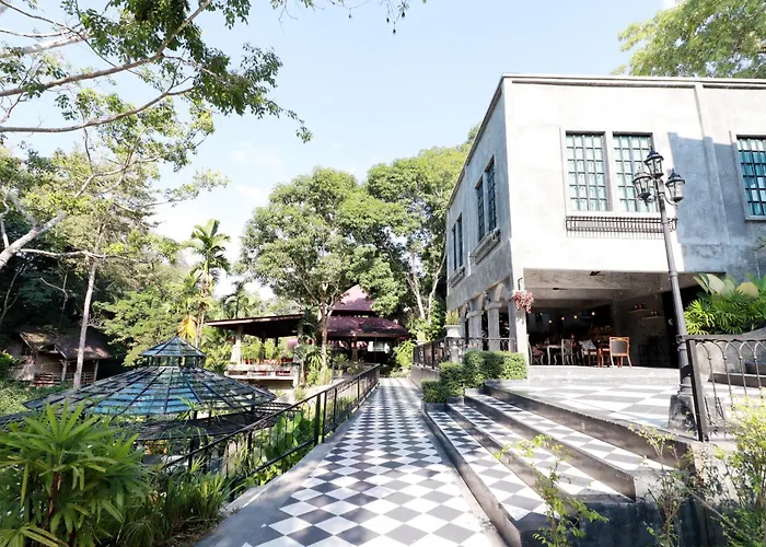 Capital O 464 At Nata Chiangmai Chic Jungle
