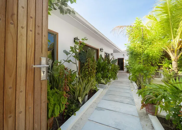 Oasis Dhigurah