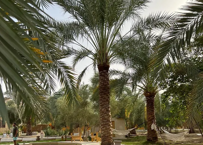 Meddur Siwa Oasis
