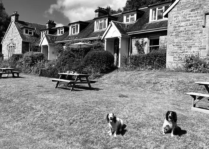 The Cnoc Hotel