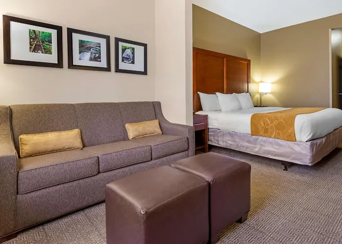Comfort Suites Boone - University Area