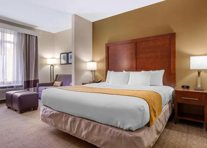 Comfort Suites Boone - University Area