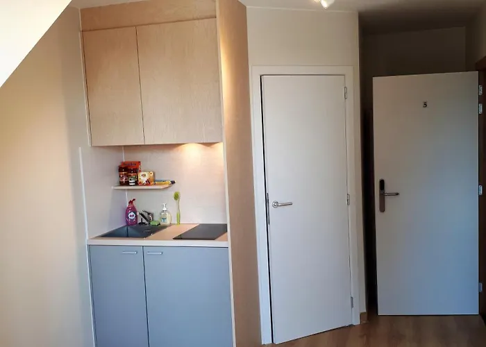 Guesthouse Dusart