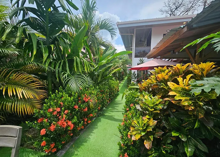 Ballena Rey Hotel