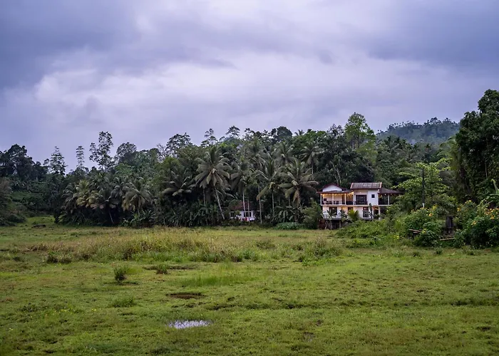 Wildlife Kingdom - Deniyaya Sinharaja