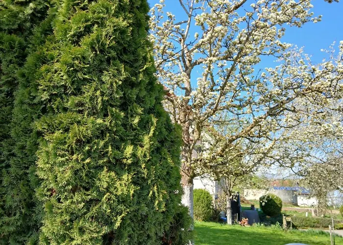 Landgasthof zum SEEHOF