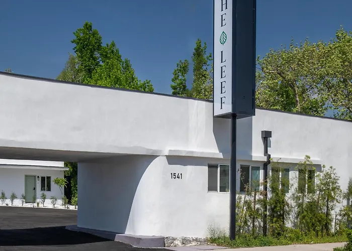 The Leef Hotel