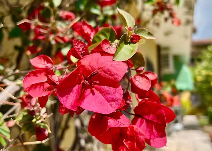 Bed&Breakfast Villa Lorena