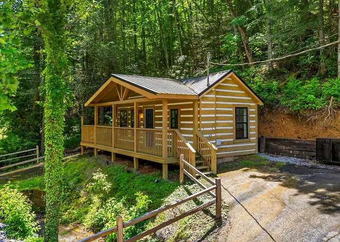 5 Cabins In Gburg Sleeps 16 Firepit & Games