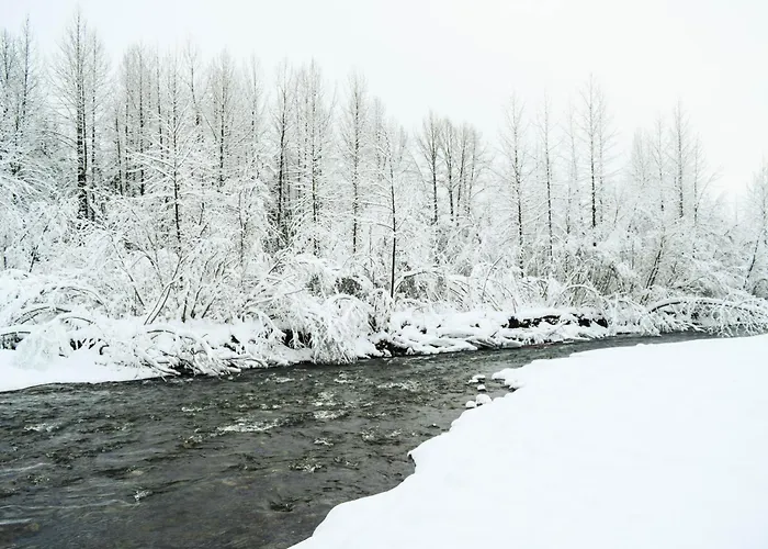 Alyeska Getaway #306