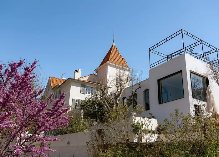 Chateau Pimo