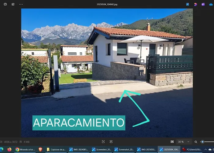Mirando a los Picos de Europa