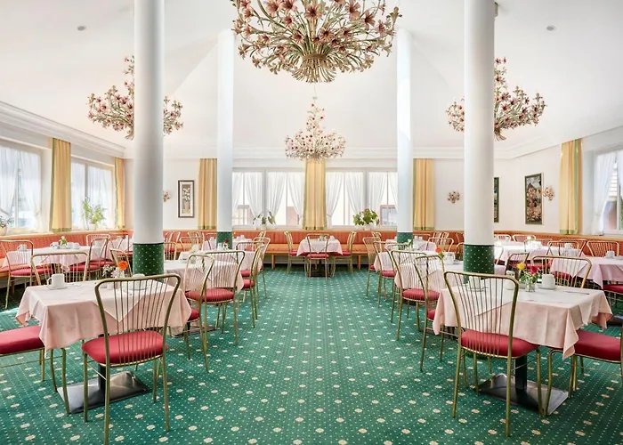 Hotel Mayer