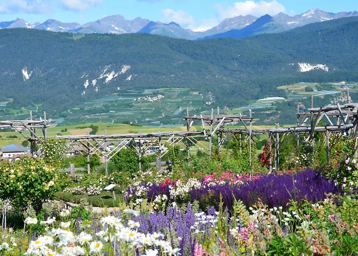 Wellness e Resort Stella Delle Alpi